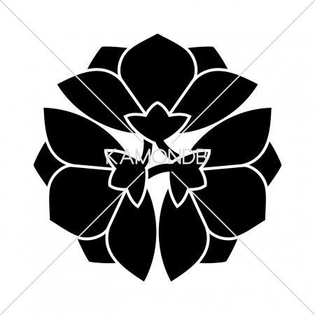 三つ横見桔梗(1)