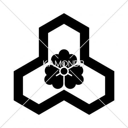 変わり花亀甲