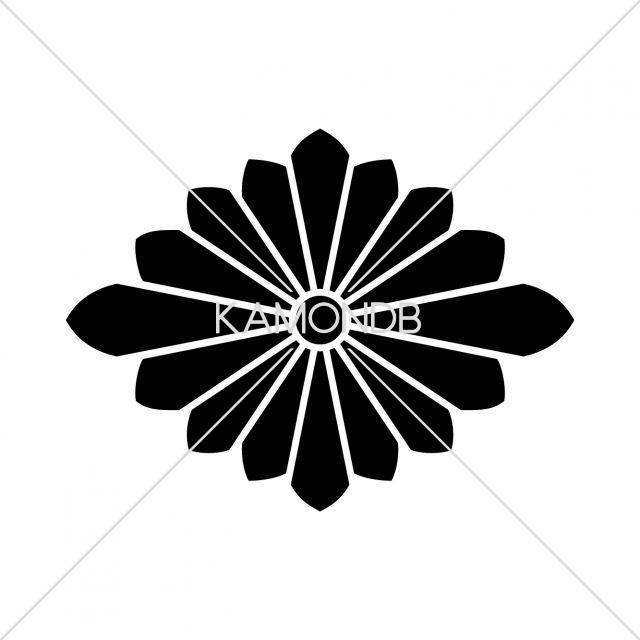 鬼菊菱