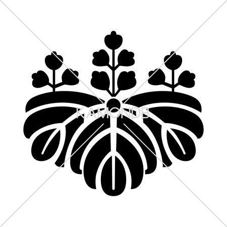 芋桐(2)