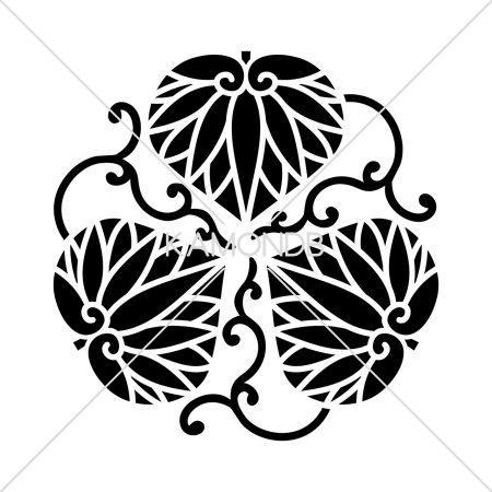 変わり三つ蔓葵