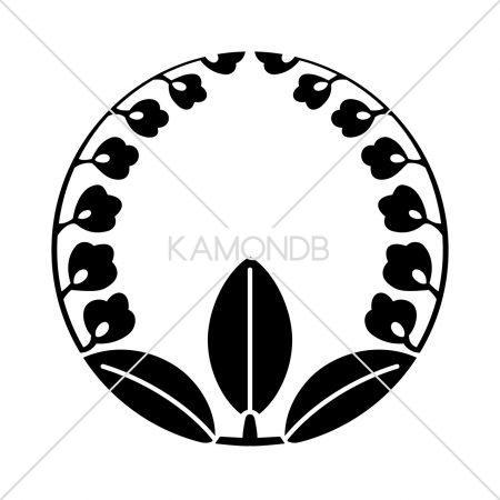 班入り割上がり藤