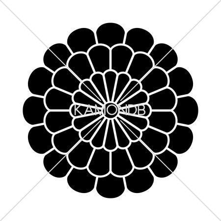 九重菊