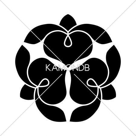 三つ寄せ藤の花