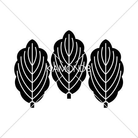 三枚並び柏