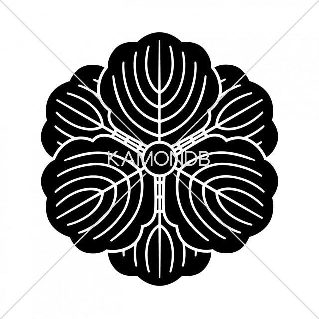 八重三つ柏