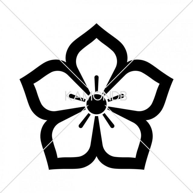 中陰桔梗