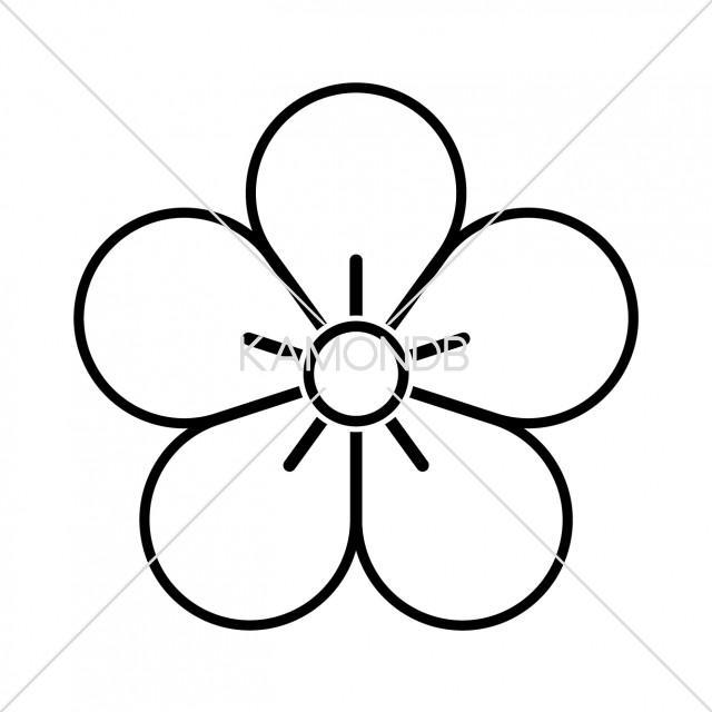 陰梅の花