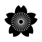 mukouyamazakura-150x150.jpg mukouyamazakura-150x150.jpg