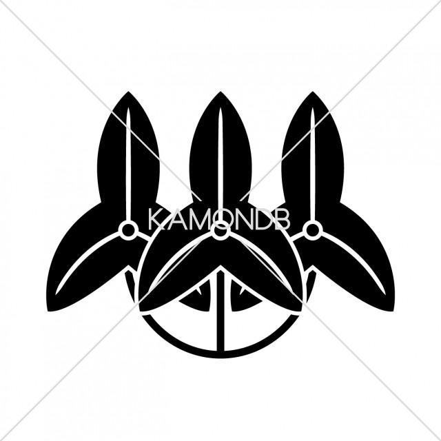 中津沢瀉