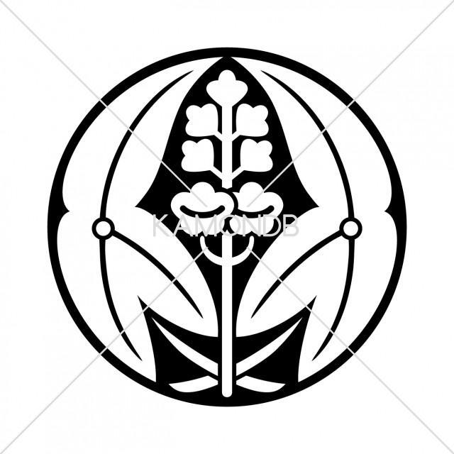 石持地抜抱沢瀉