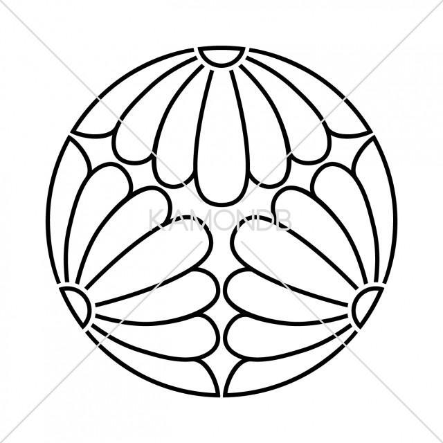 陰三つ割菊