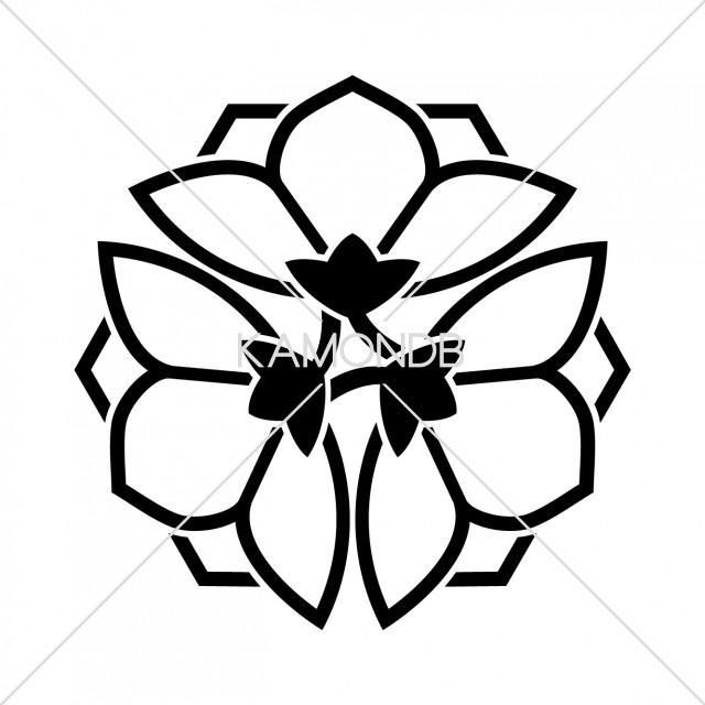 陰三つ横見桔梗