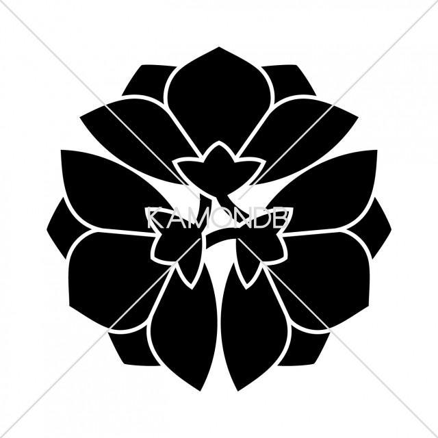 三つ横見桔梗(1)