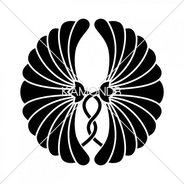 抱き開き菊