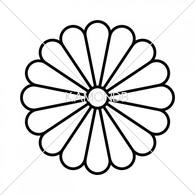 陰十六菊