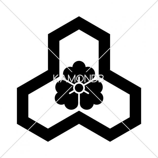 変わり花亀甲