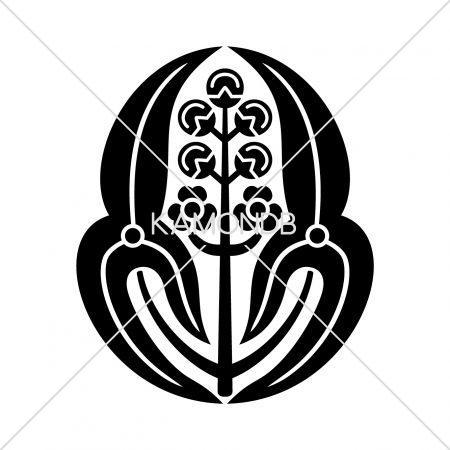 長州沢瀉