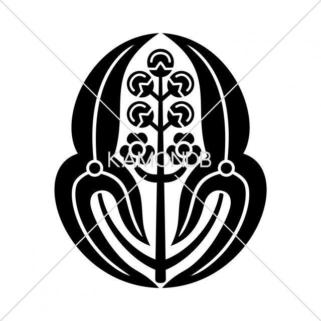 長州沢瀉