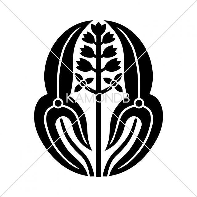 変わり長州沢瀉