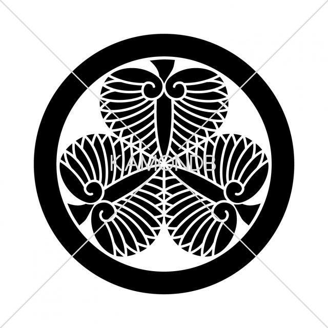 会津三つ葵