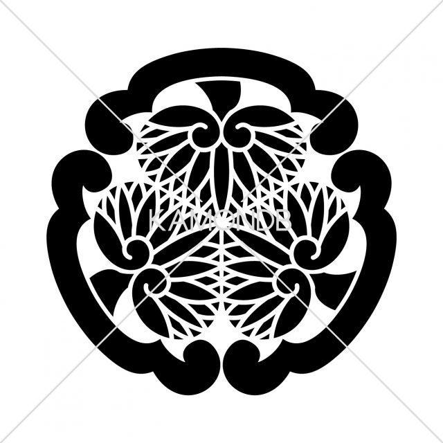出羽三つ葵