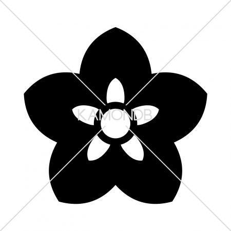山城桔梗(1)