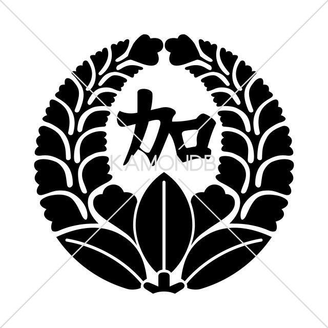加藤藤(1)