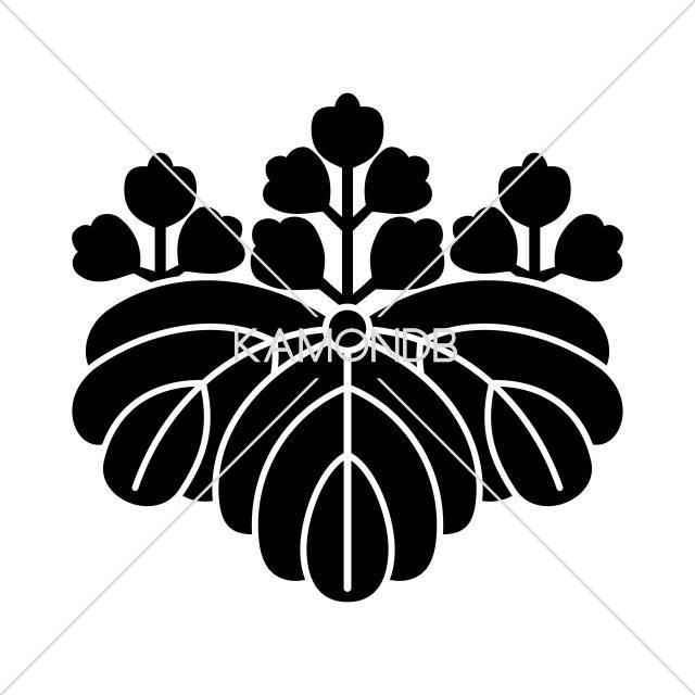 芋桐(1)