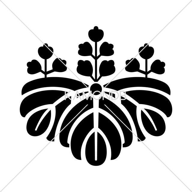 芋桐(2)