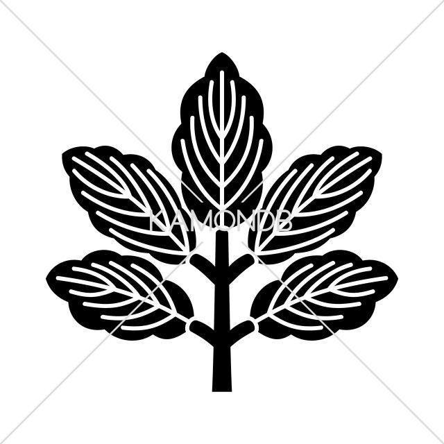 久志本柏