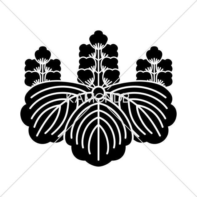 上杉桐