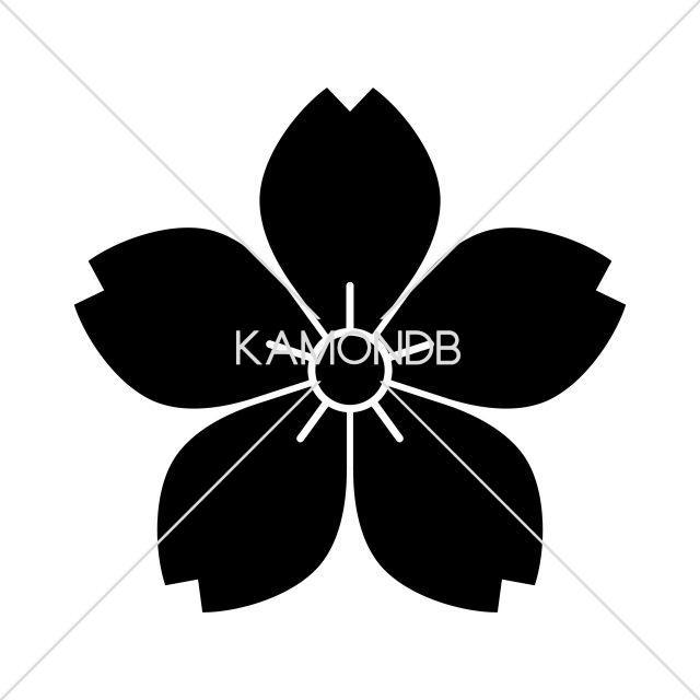 山桜(1)