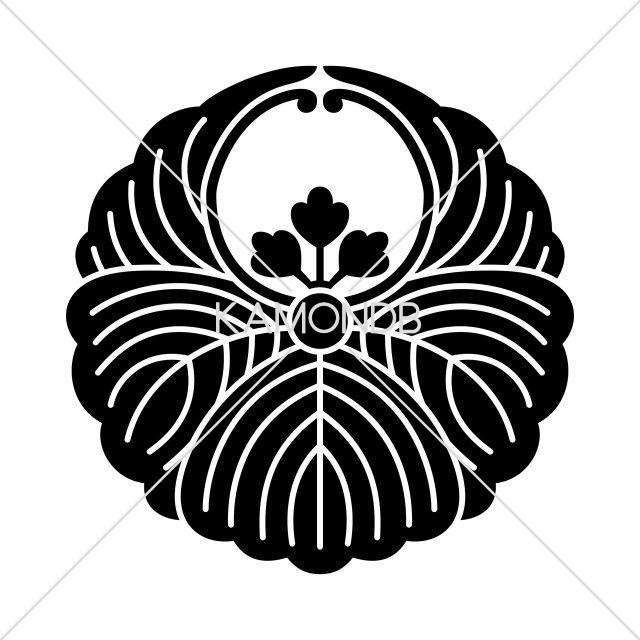 浮線桐