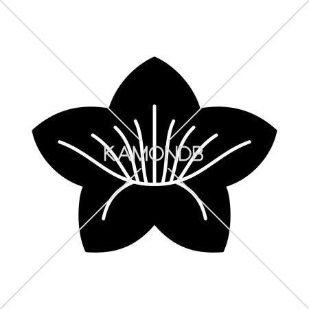 花桔梗