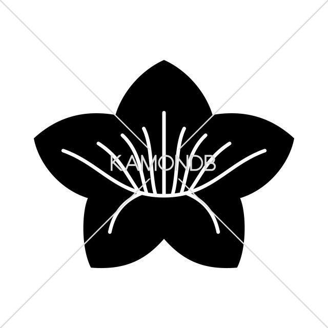 花桔梗