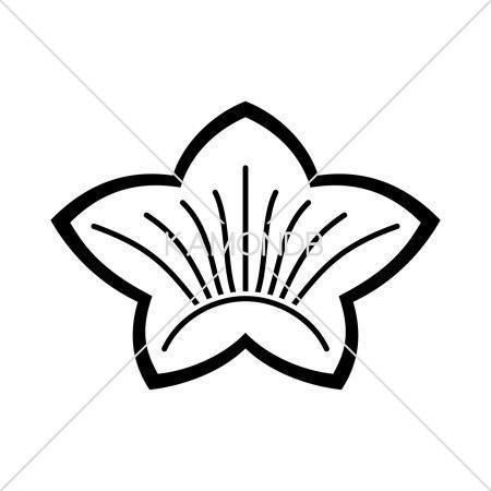 陰花桔梗