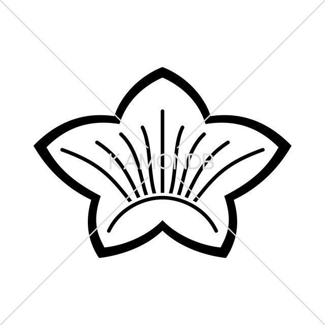 陰花桔梗