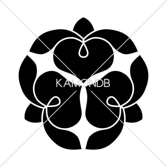 三つ寄せ藤の花