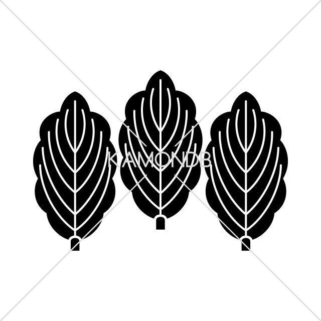 三枚並び柏