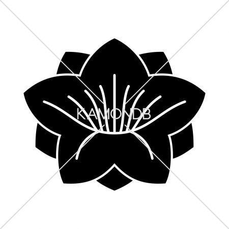 八重花桔梗