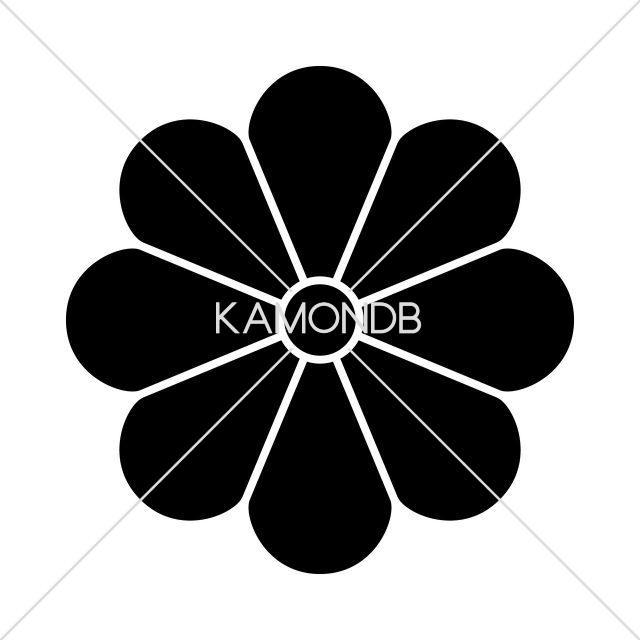 八菊