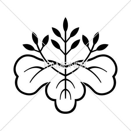 小判桐(1)