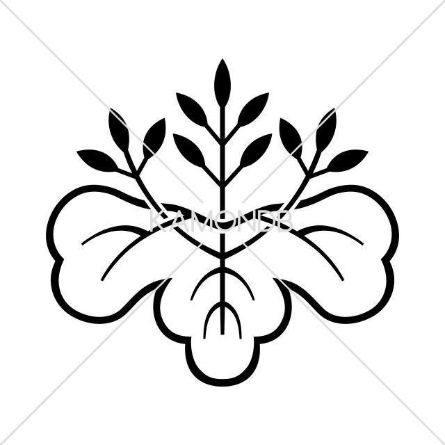 小判桐(1)
