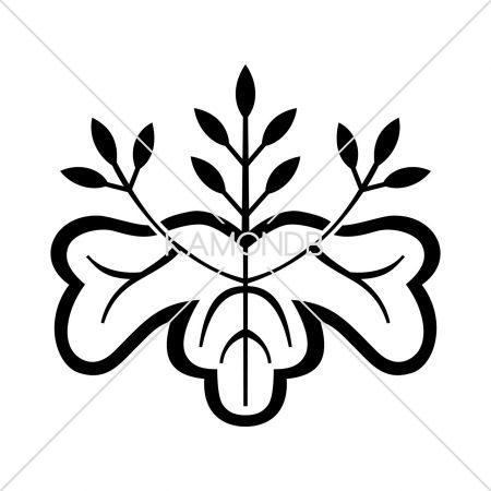 小判桐(2)
