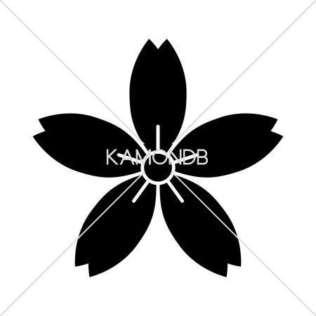 細山桜