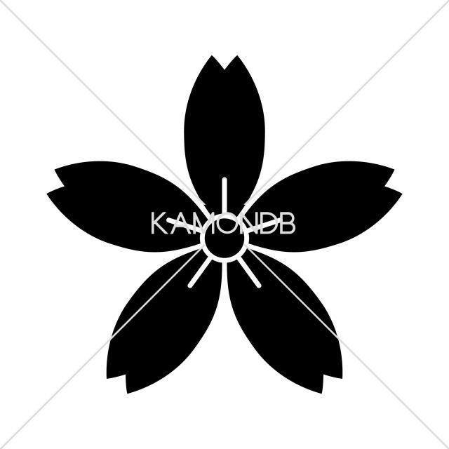 細山桜