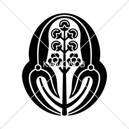 長門沢瀉