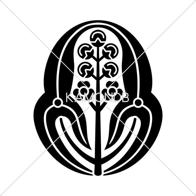 長門沢瀉