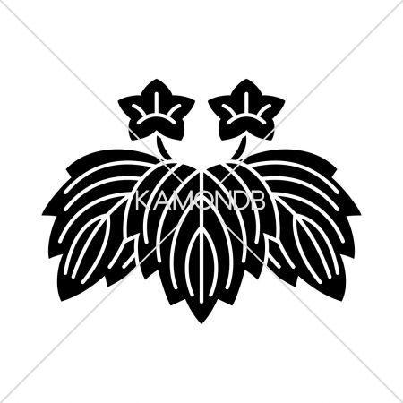 二つ花鬼桐